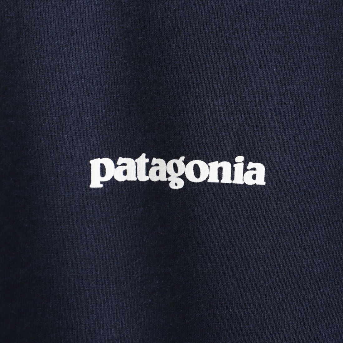 patagonia [パタゴニア] メンズ P-6ロゴ レスポンシビリティー [38504] CNY