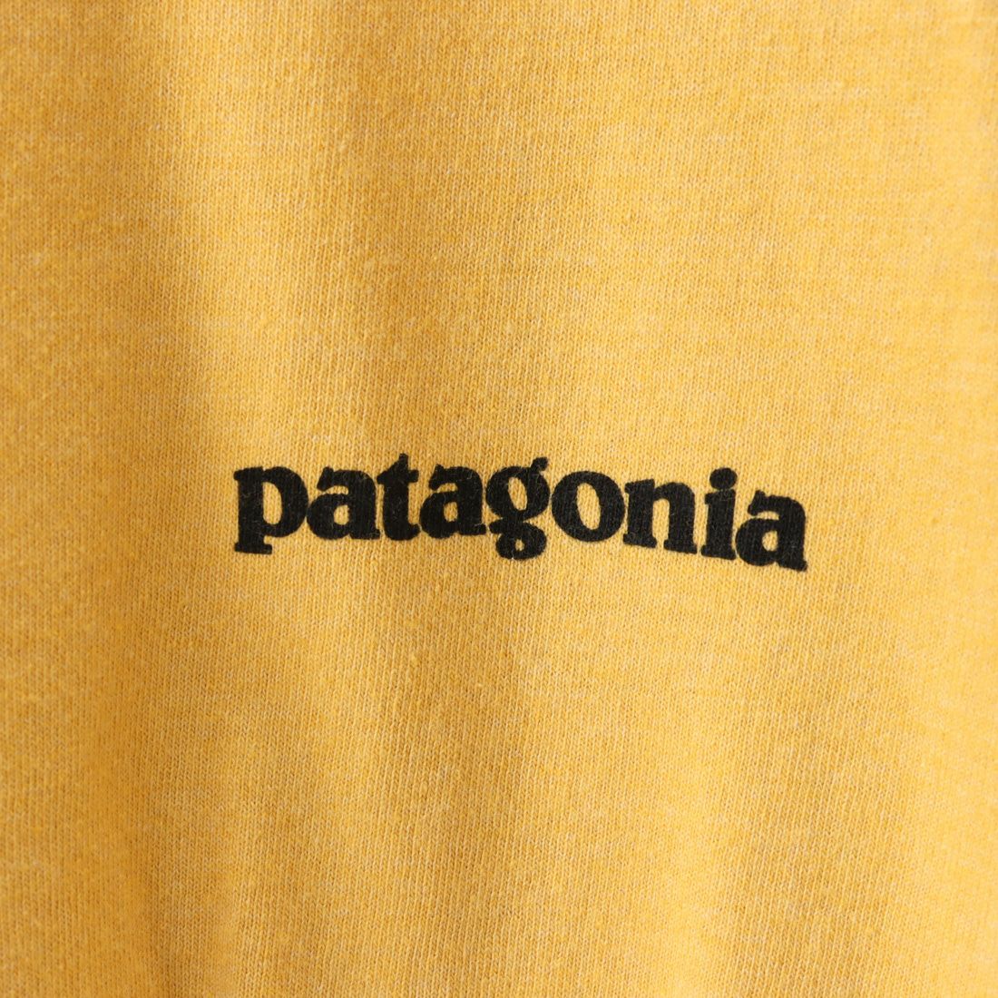 patagonia [パタゴニア] メンズ P-6ロゴ レスポンシビリティー [38504] SUYE