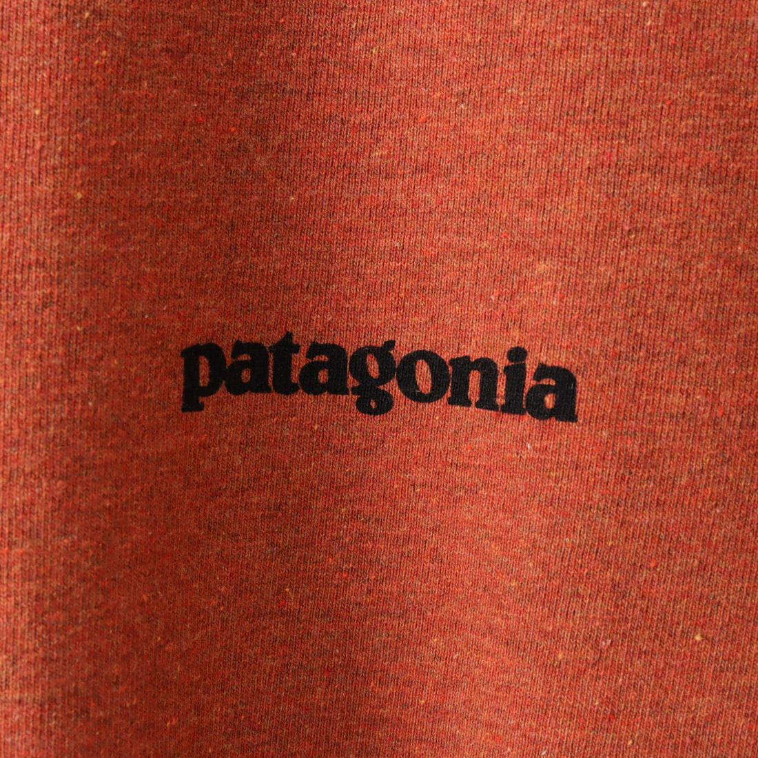 patagonia [パタゴニア] メンズ P-6ロゴ レスポンシビリティー [38504] QZCO