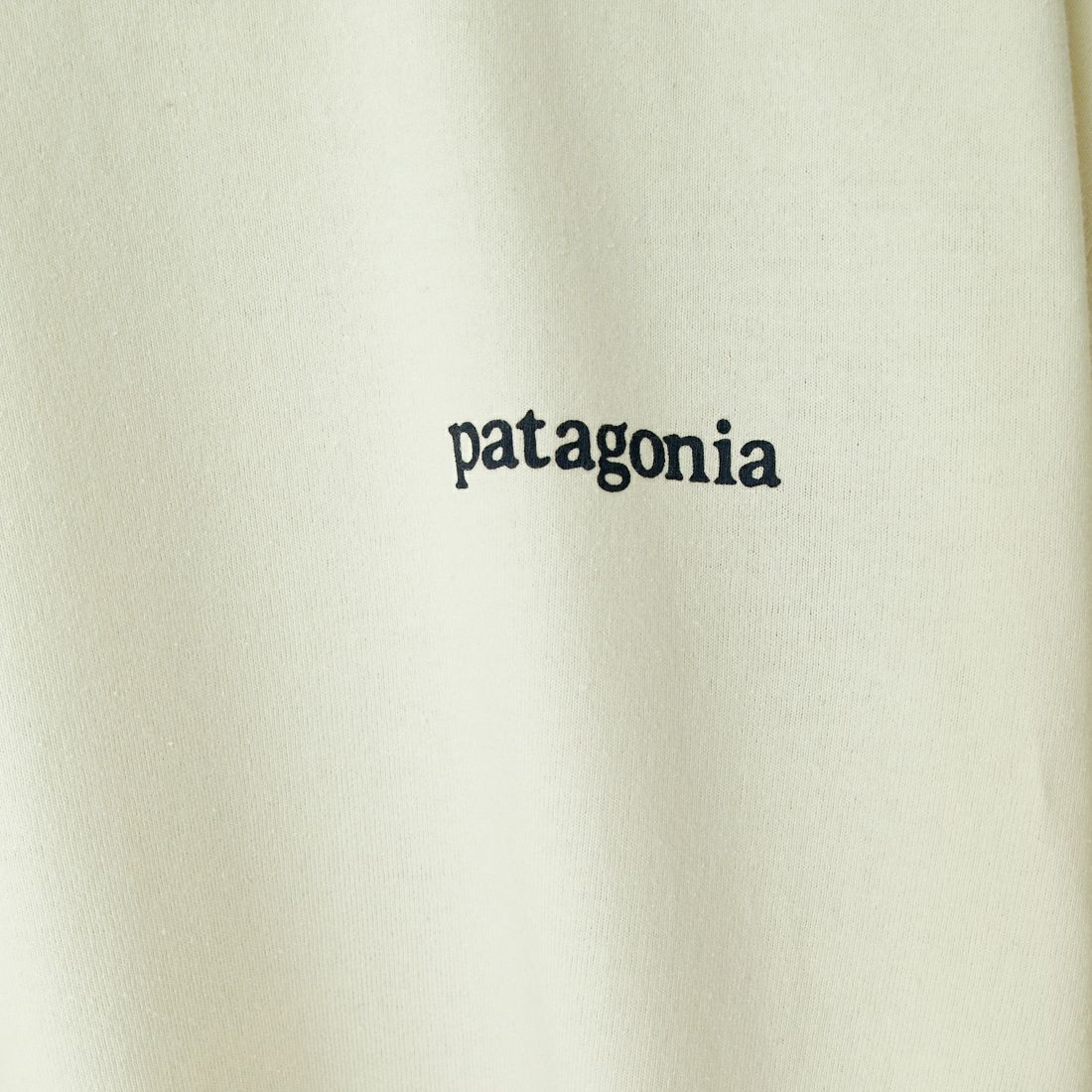 patagonia [パタゴニア] メンズ ロングスリーブ ライン ロゴ リッジ レスポンシビリティー [38517] BCW