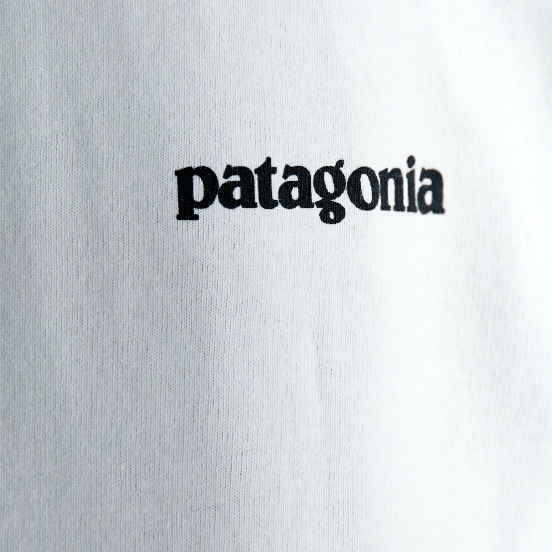 patagonia [パタゴニア] メンズ ロングスリーブ P-6ロゴ レスポンシビリティー [38518] WHI