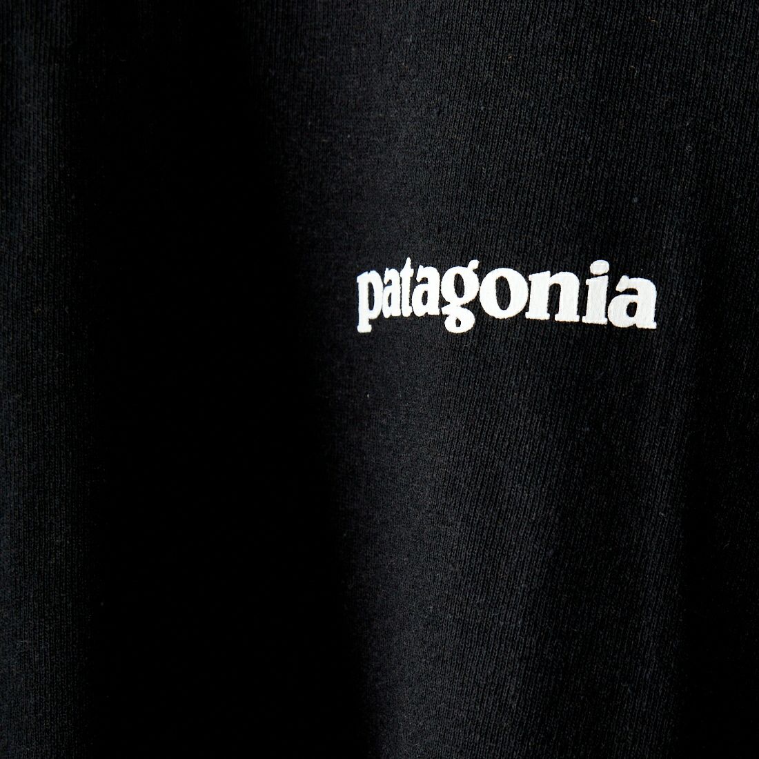 patagonia [パタゴニア] メンズ ロングスリーブ P-6ロゴ レスポンシビリティー [38518] BLK
