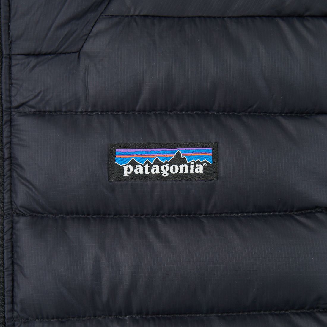 patagonia [パタゴニア] メンズ ダウン セーター フーディ [84702] BLK