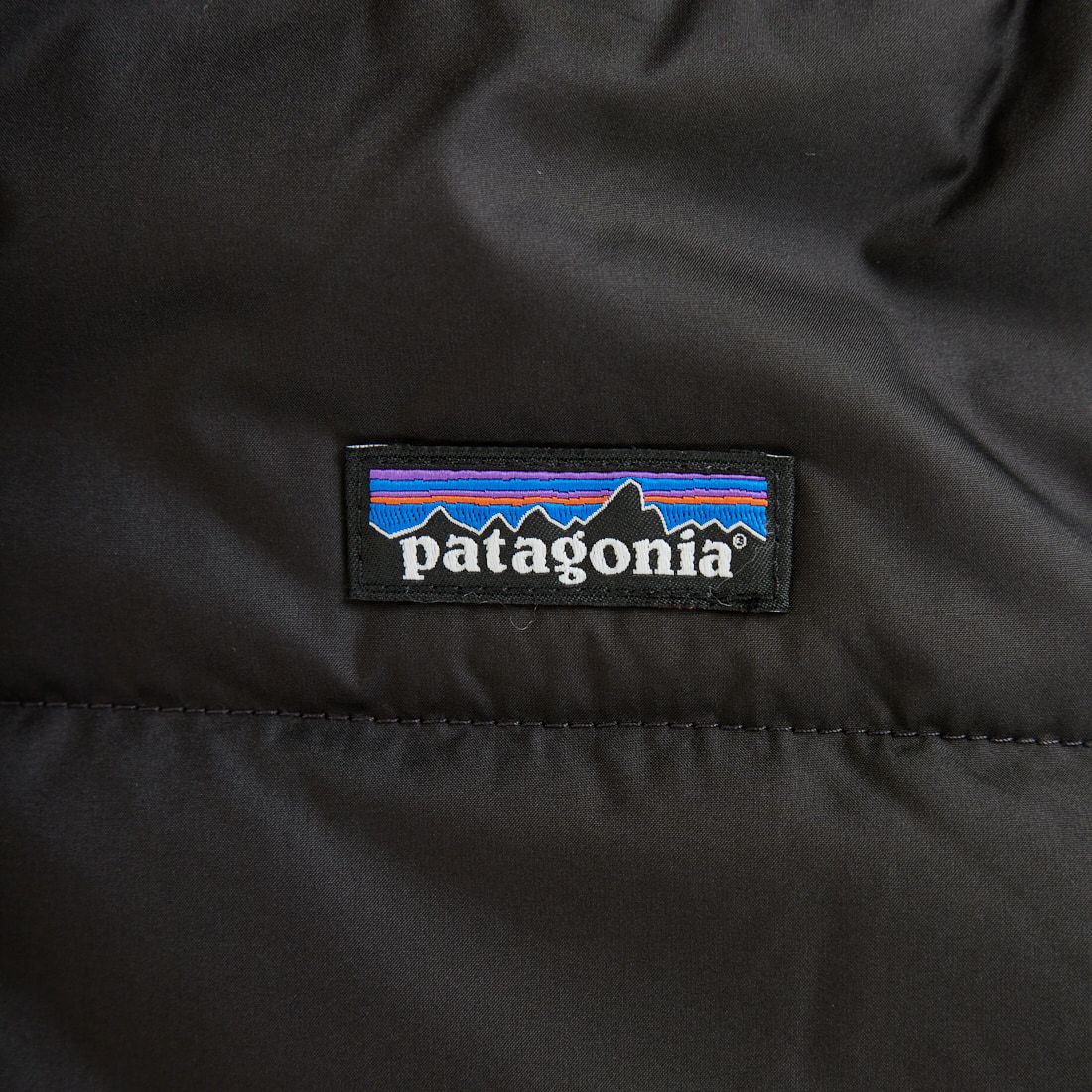 patagonia [パタゴニア] リバーシブル レディ フレディ フーディ [68095] INBK