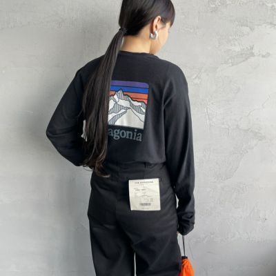 patagonia [パタゴニア] メンズ ライン ロゴ リッジ ロングスリーブT