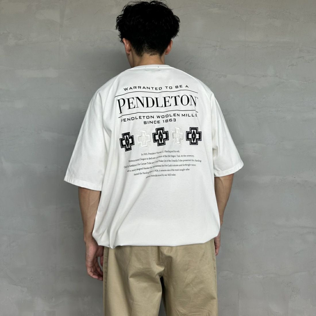 PENDLETON [ペンドルトン] 別注 ネイティブ柄バックプリント ショートスリーブTシャツ [4275-6218-JF]