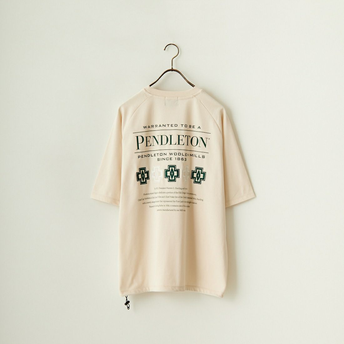 PENDLETON [ペンドルトン] 別注 ネイティブ柄バックプリント ショートスリーブTシャツ [4275-6218-JF] TAUPE