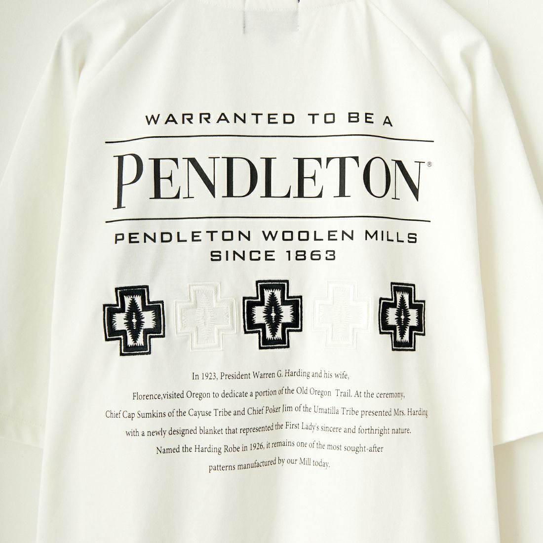 PENDLETON [ペンドルトン] 別注 ネイティブ柄バックプリント ショートスリーブTシャツ [4275-6218-JF] WHITE1