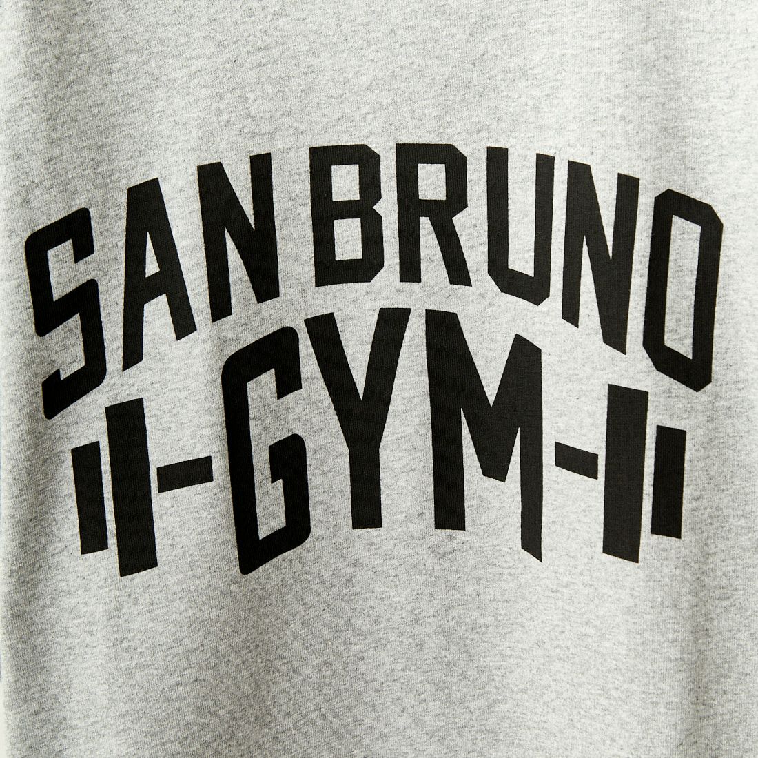 HANDTEX [ハンドテックス] 別注 スーベニアプリントTシャツ [HT6-CST-IN4-JF] GYM