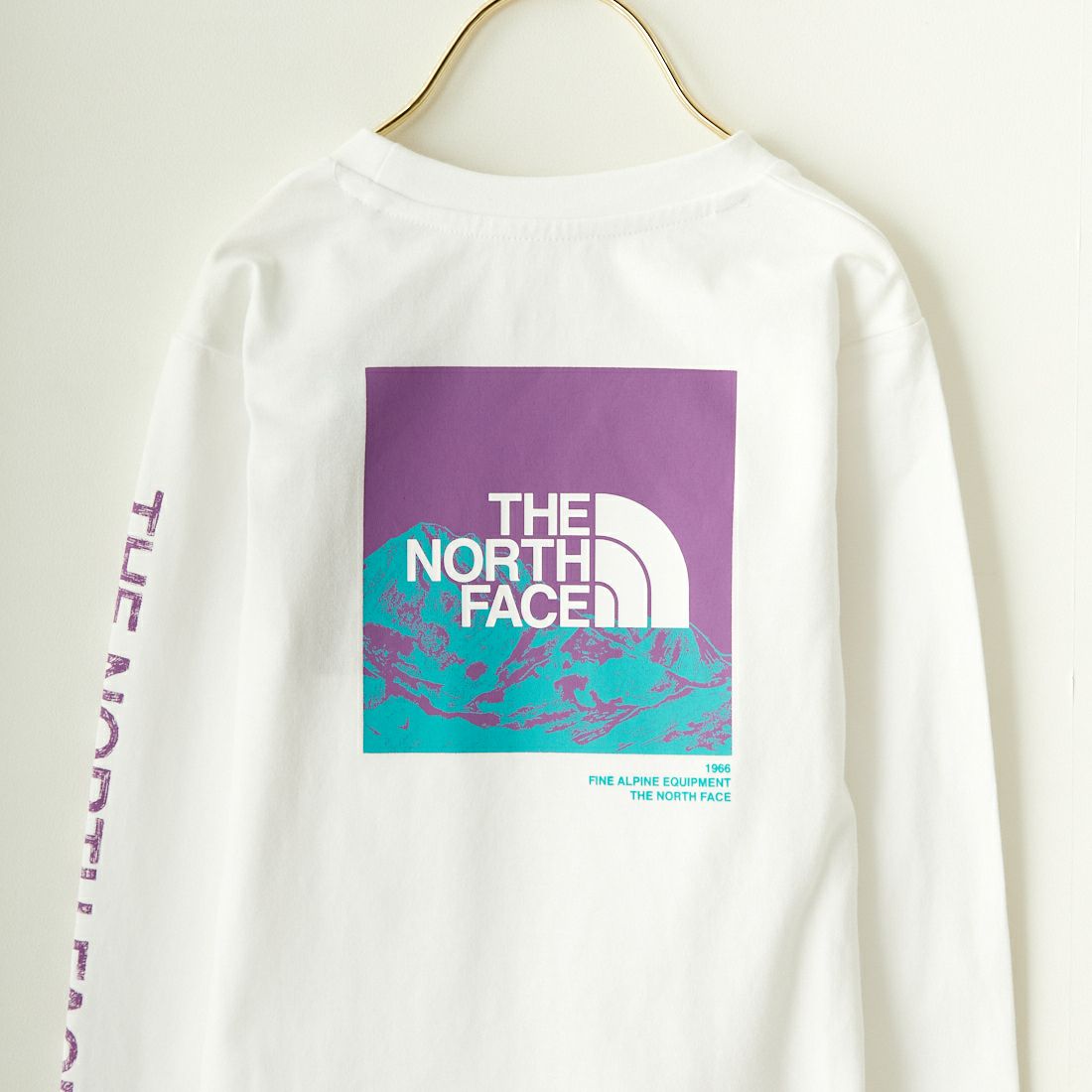 THE NORTH FACE [ザ ノースフェイス] ロングスリーブグラフィックTシャツ [NTJ32334] WW