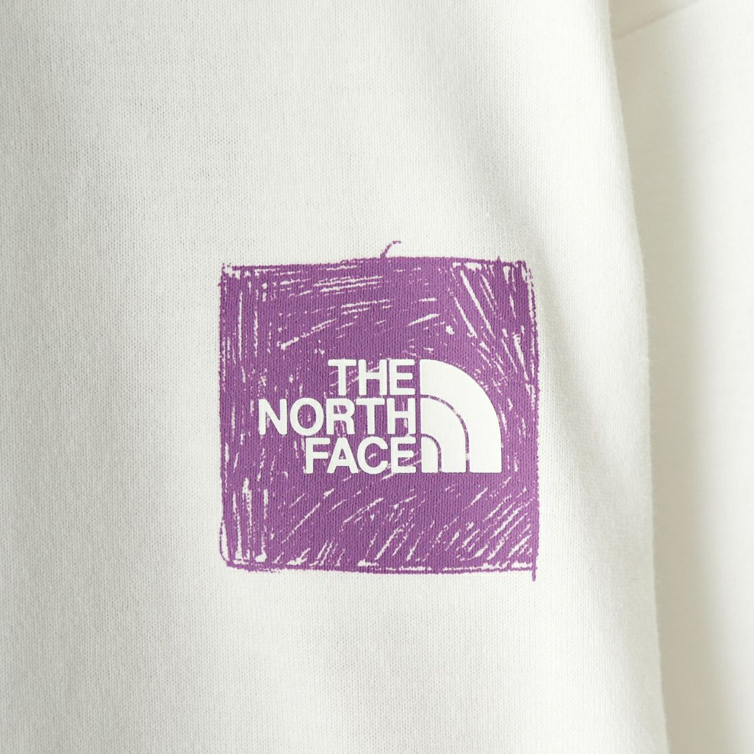 THE NORTH FACE [ザ ノースフェイス] ロングスリーブグラフィックTシャツ [NTJ32334] WW