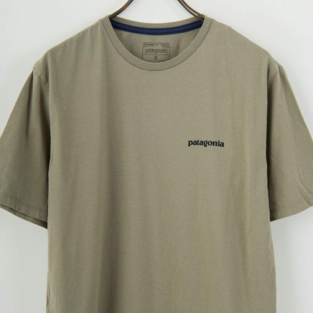 patagonia [パタゴニア] ホーム ウォータートラウト オーガニックTシャツ [37547] RVGN