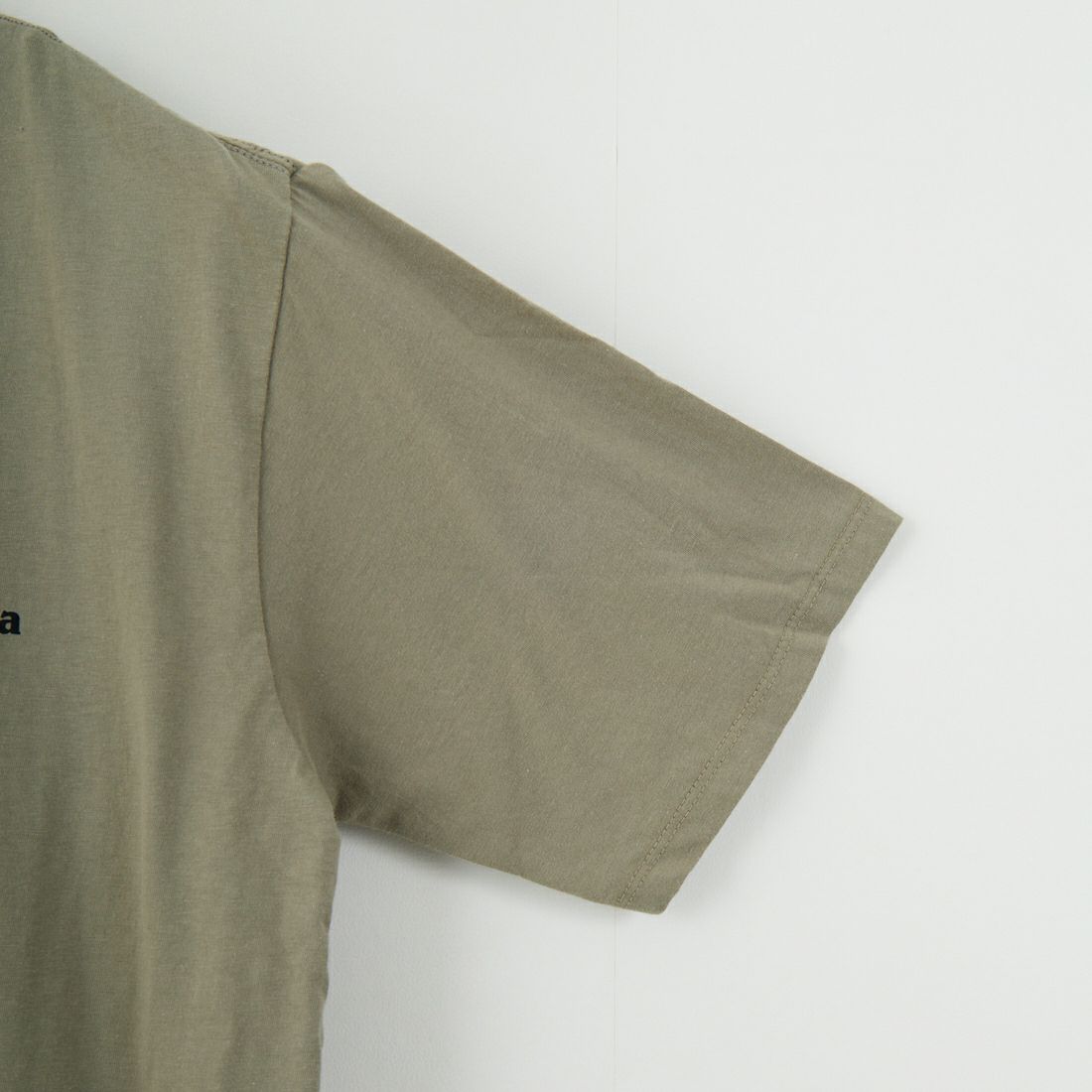 patagonia [パタゴニア] ホーム ウォータートラウト オーガニックTシャツ [37547] RVGN