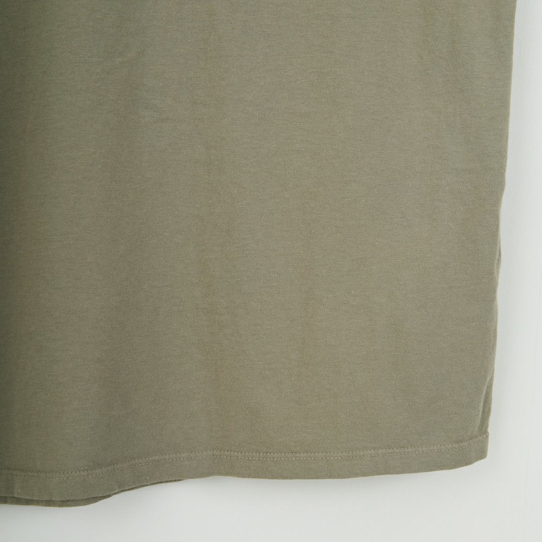 patagonia [パタゴニア] ホーム ウォータートラウト オーガニックTシャツ [37547] RVGN