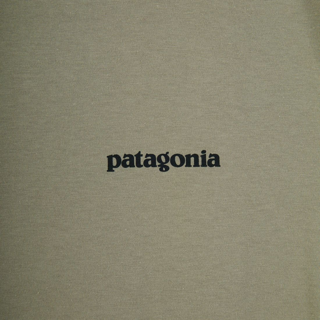 patagonia [パタゴニア] ホーム ウォータートラウト オーガニックTシャツ [37547] RVGN