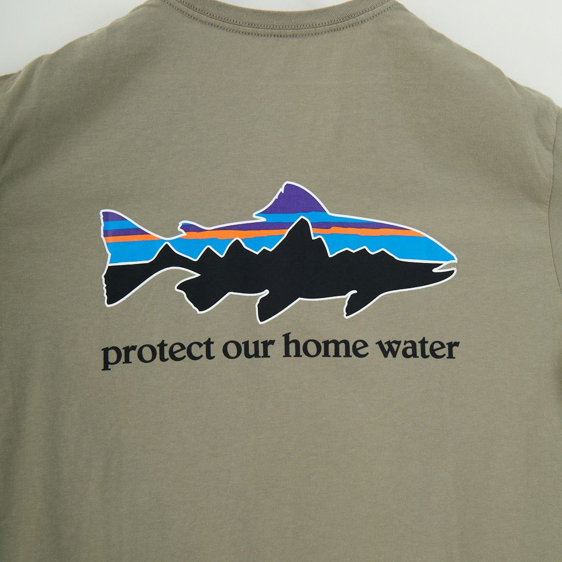 patagonia [パタゴニア] ホーム ウォータートラウト オーガニックTシャツ [37547] RVGN