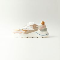 40WFGCOCR