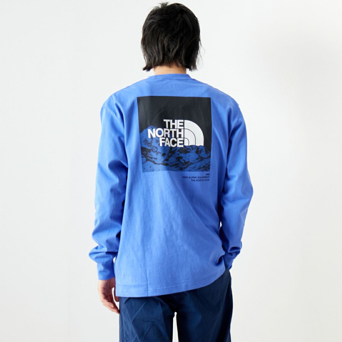 THE NORTH FACE [ザ ノースフェイス] ロングスリーブスリーブグラフィックティー [NT32438]