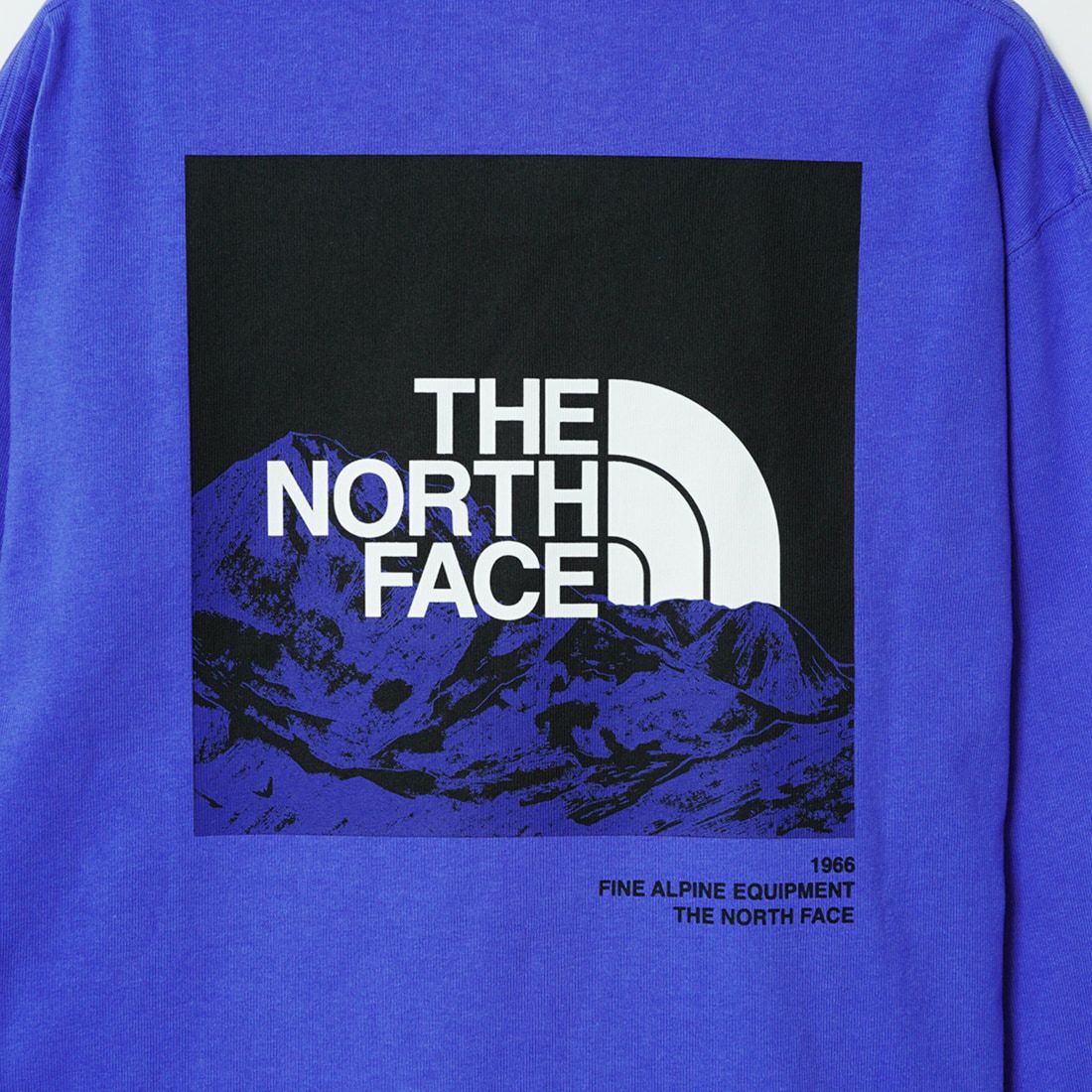 THE NORTH FACE [ザ ノースフェイス] ロングスリーブスリーブグラフィックティー [NT32438] SO