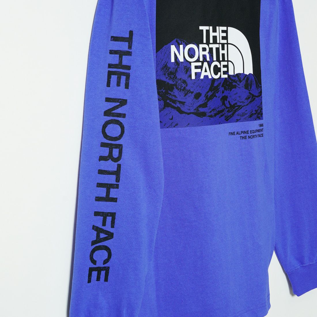 THE NORTH FACE [ザ ノースフェイス] ロングスリーブスリーブグラフィックティー [NT32438] SO
