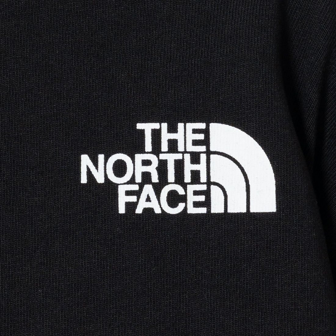 THE NORTH FACE [ザ ノースフェイス] ロングスリーブズーピッカーティー [NT32440] K