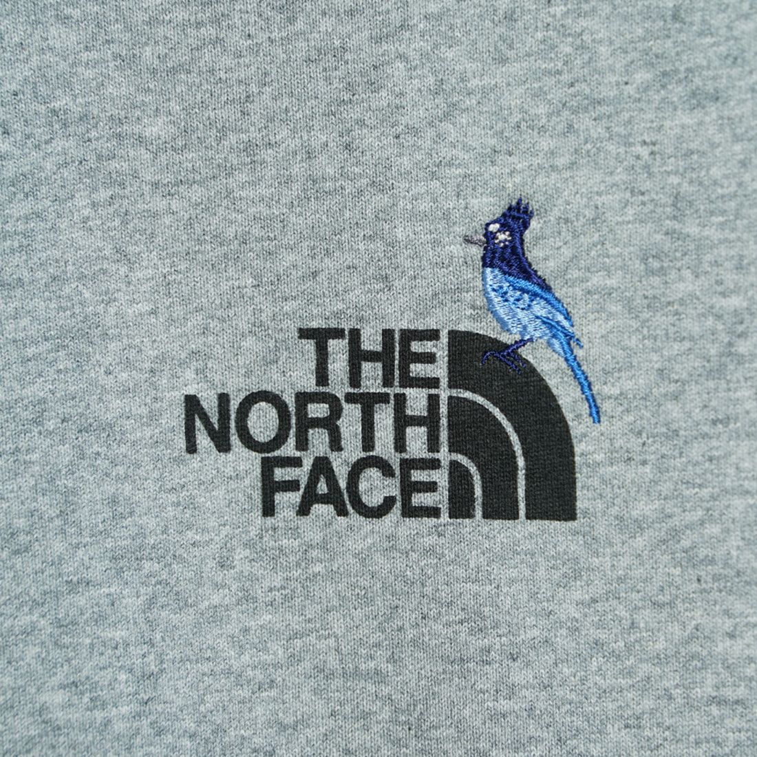 THE NORTH FACE [ザ ノースフェイス] ロングスリーブズーピッカーティー [NT32440] Z