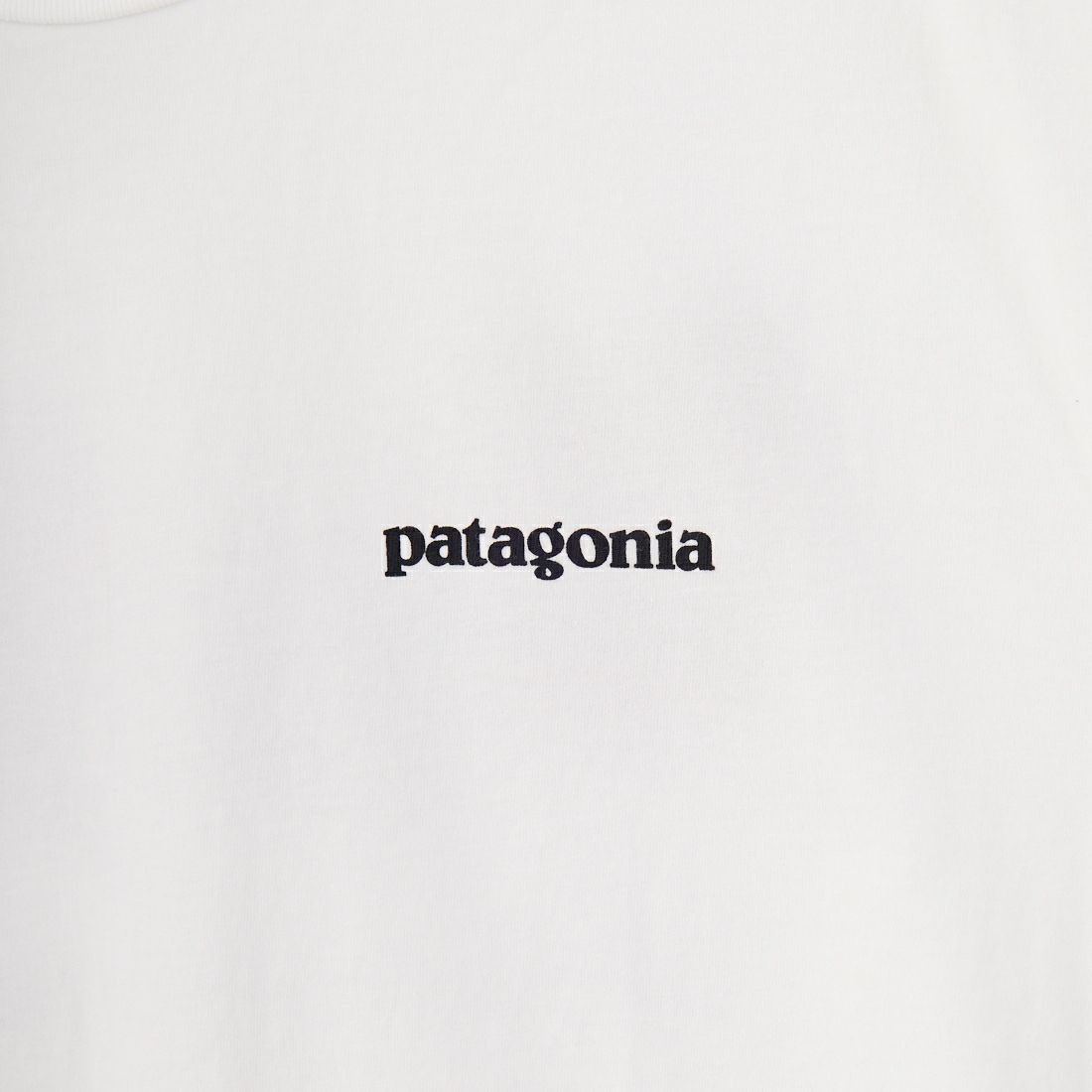 patagonia [パタゴニア] ホーム ウォータートラウト オーガニックTシャツ [37547] WHI