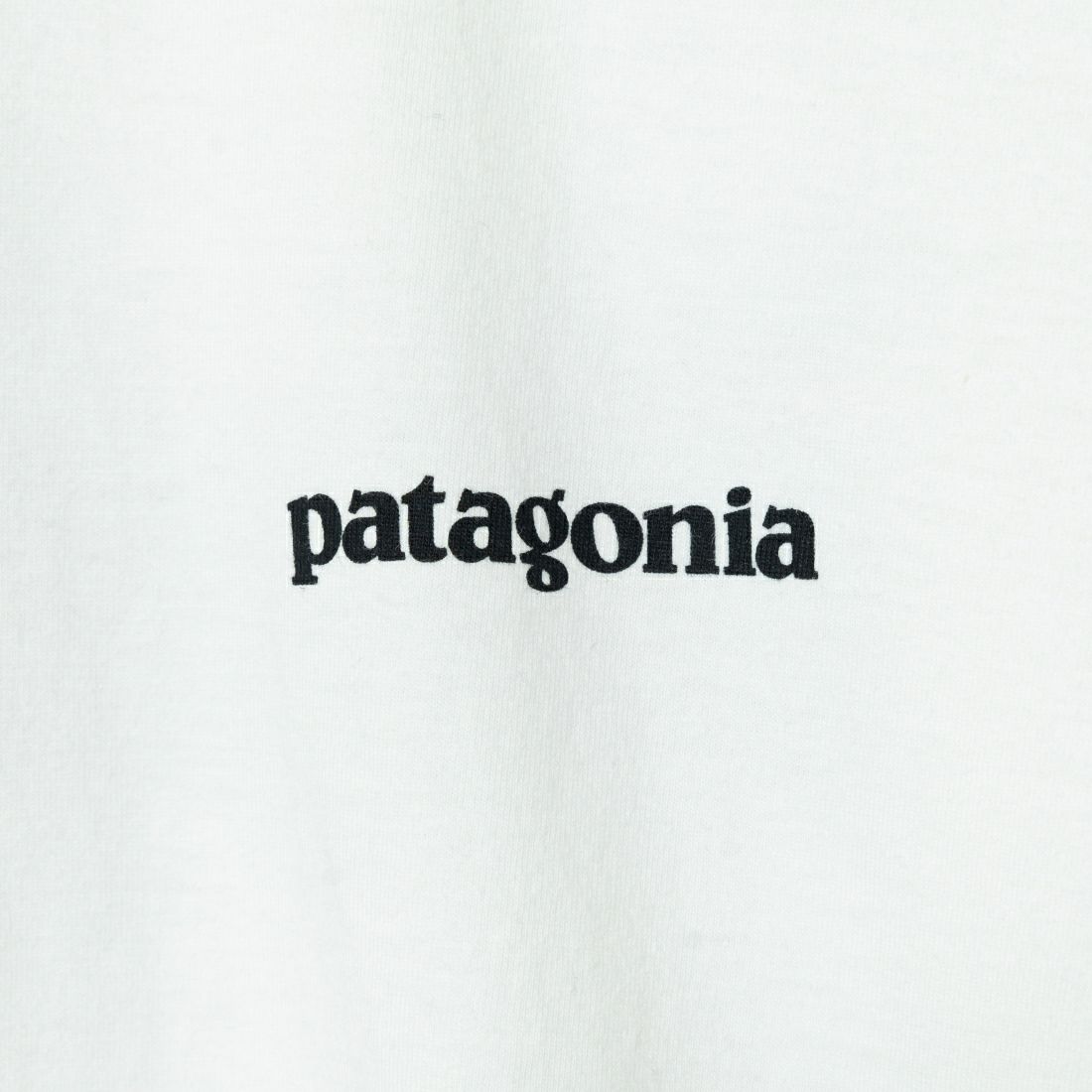 patagonia [パタゴニア] ホーム ウォータートラウト オーガニックTシャツ [37547] WHI