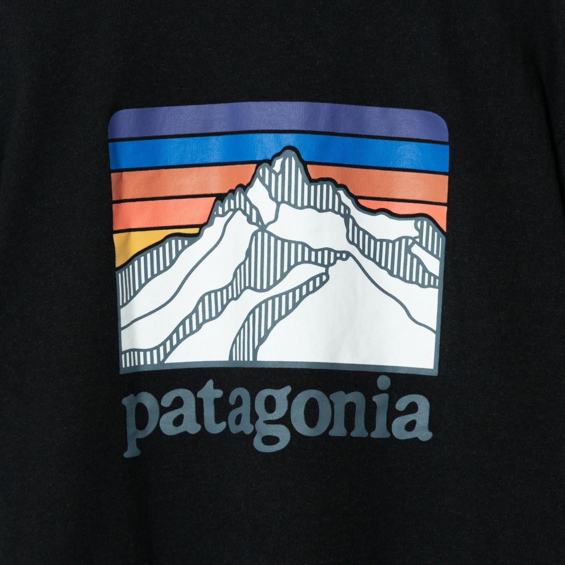 patagonia [パタゴニア] ラインロゴリッジ ポケットレスポンシビリティー [38511] INBK