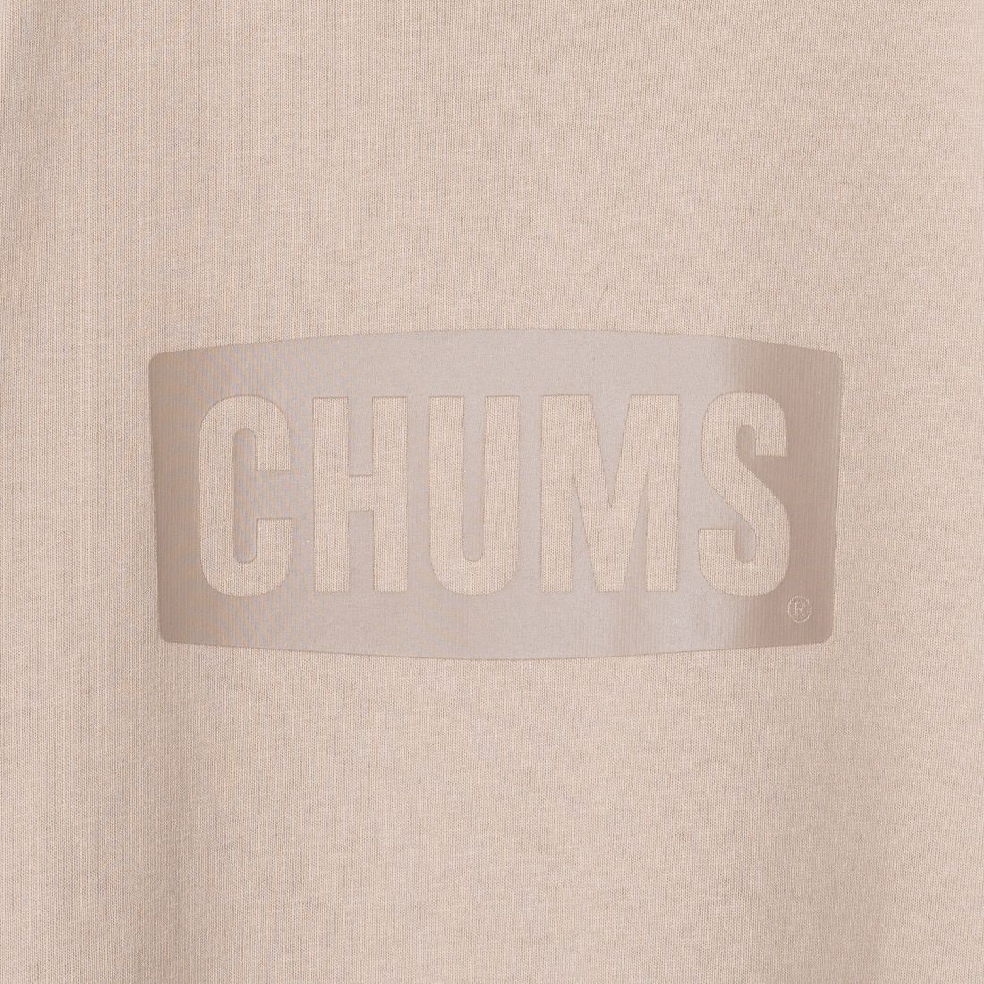 CHUMS [チャムス] ヘビーウエイトチャムスロゴドレス [CH18-1258] G057 GREIG