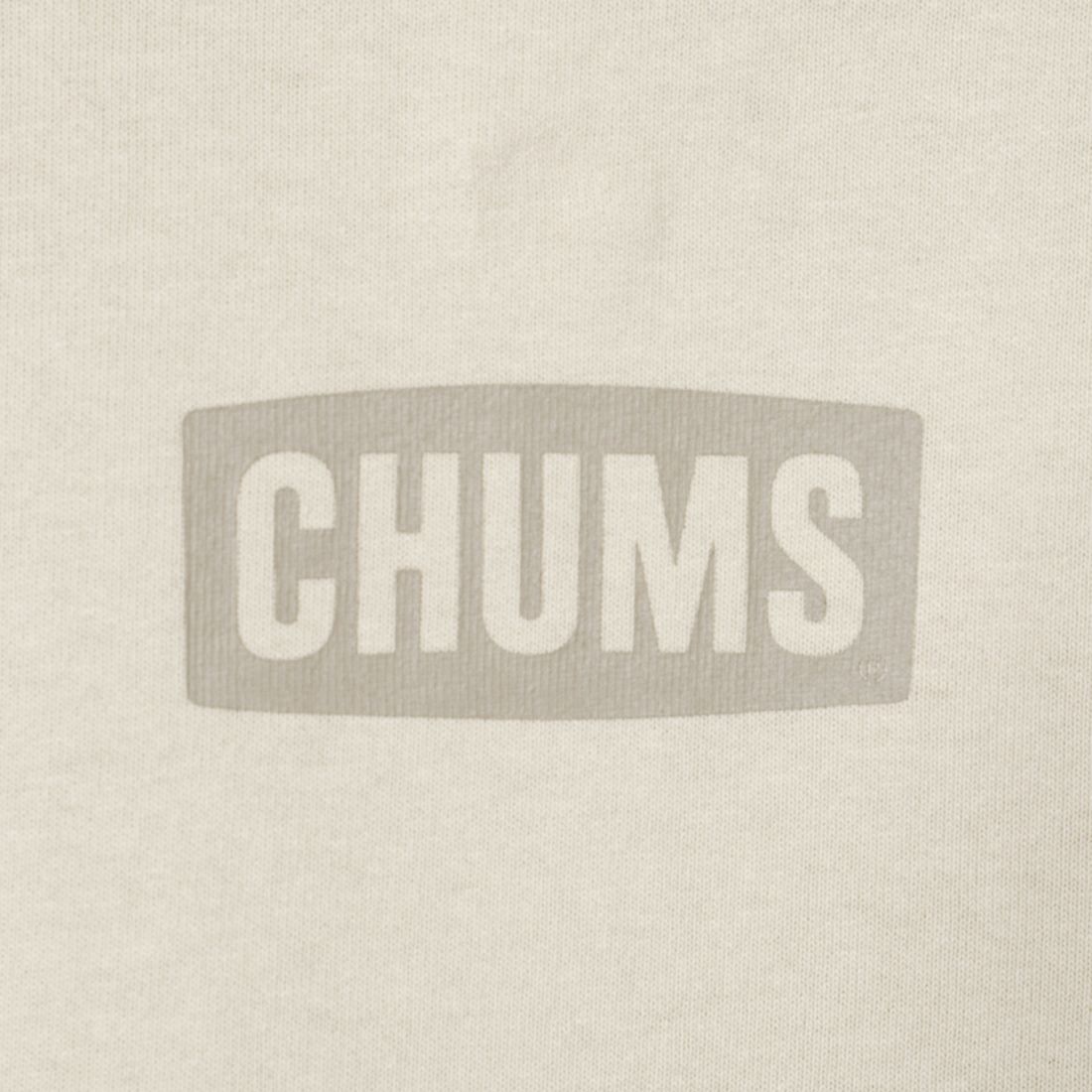CHUMS [チャムス] オーバーサイズド チャムスTシャツ [CH01-2355] G057 GREIG