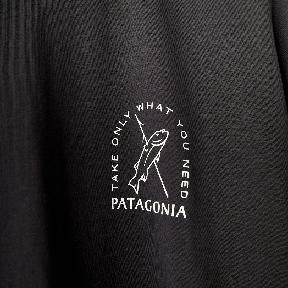 patagonia [パタゴニア] メンズ CTAオーガニックTシャツ [37732] HTIB
