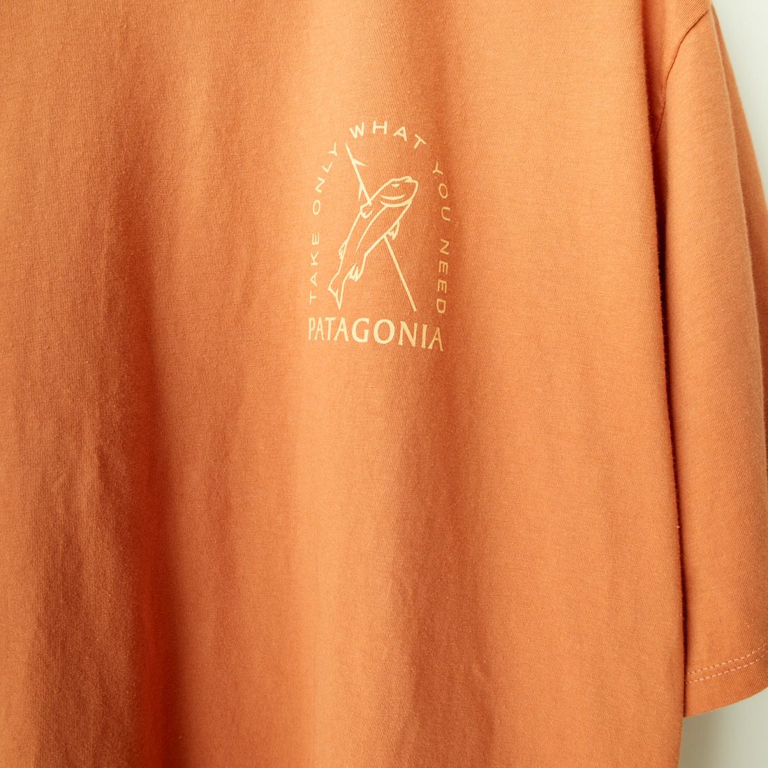 patagonia [パタゴニア] メンズ CTAオーガニックTシャツ [37732] HTSI