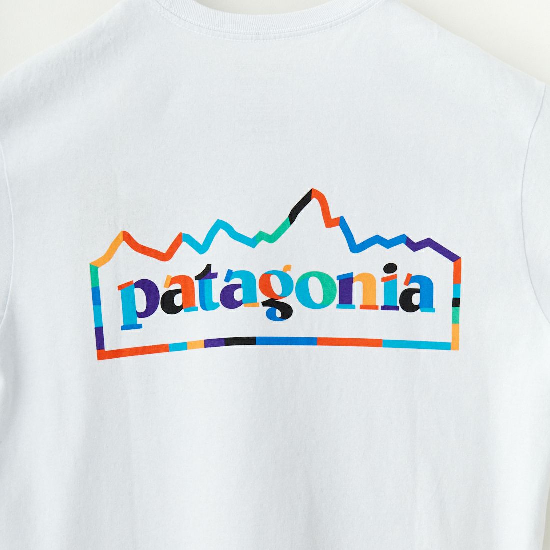 patagonia [パタゴニア] メンズ ユニティ フィッツ レスポンシビリティー [37768] WHI