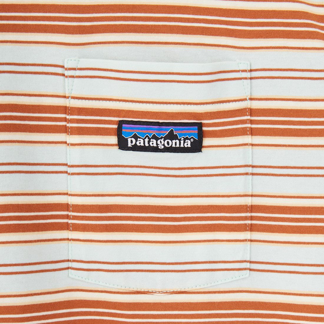patagonia [パタゴニア] メンズ デイリーポケットTシャツ [53255] SMRN