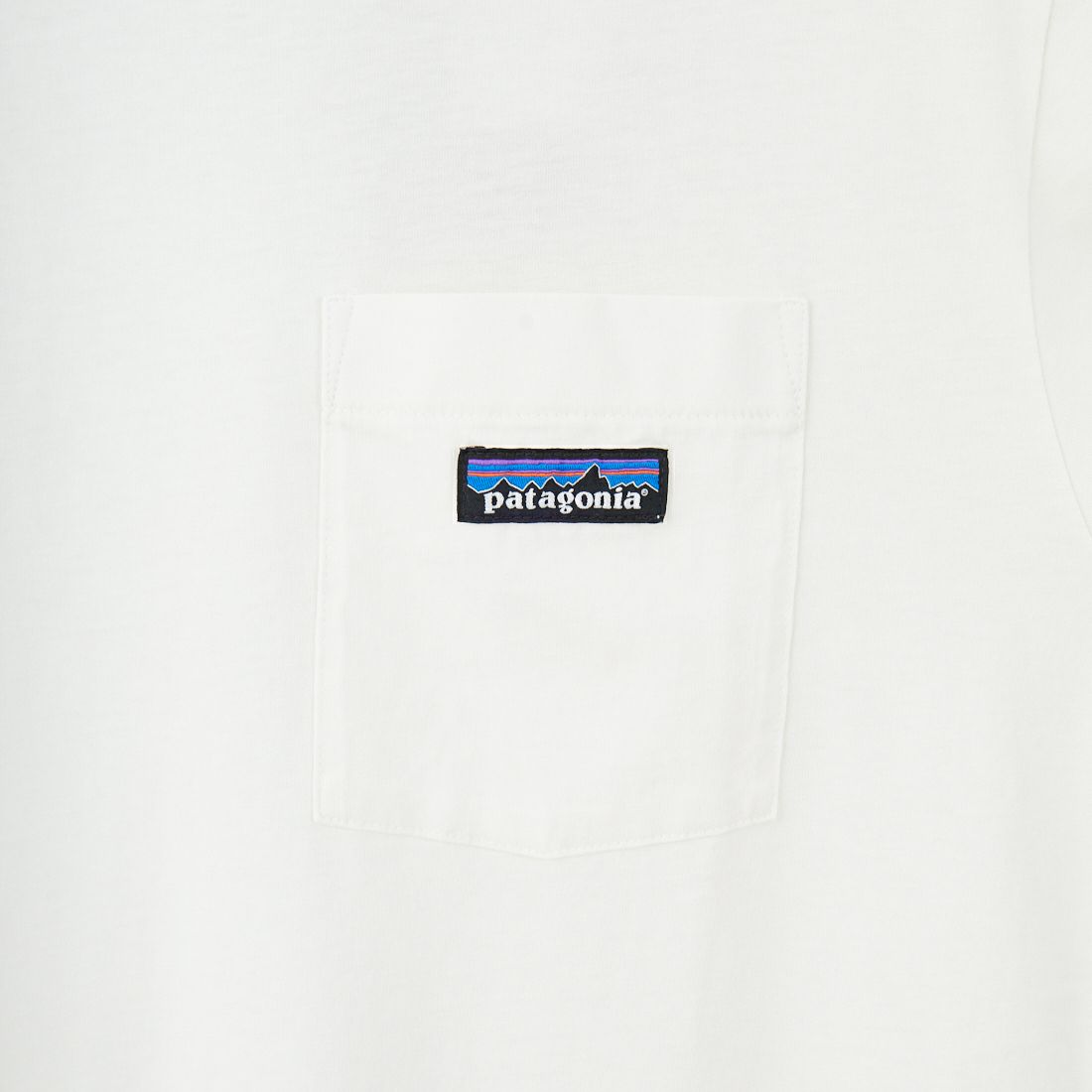 patagonia [パタゴニア] メンズ デイリーポケットTシャツ [53255] BCW