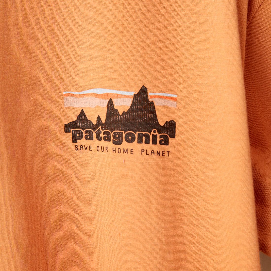 patagonia [パタゴニア] メンズ 73 スカイライン オーガニックTシャツ [37534] SINY
