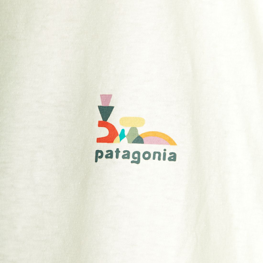 patagonia [パタゴニア] ウィメンズ ルーズ イット イージーカット レスポンシビリティー [37747] BCW