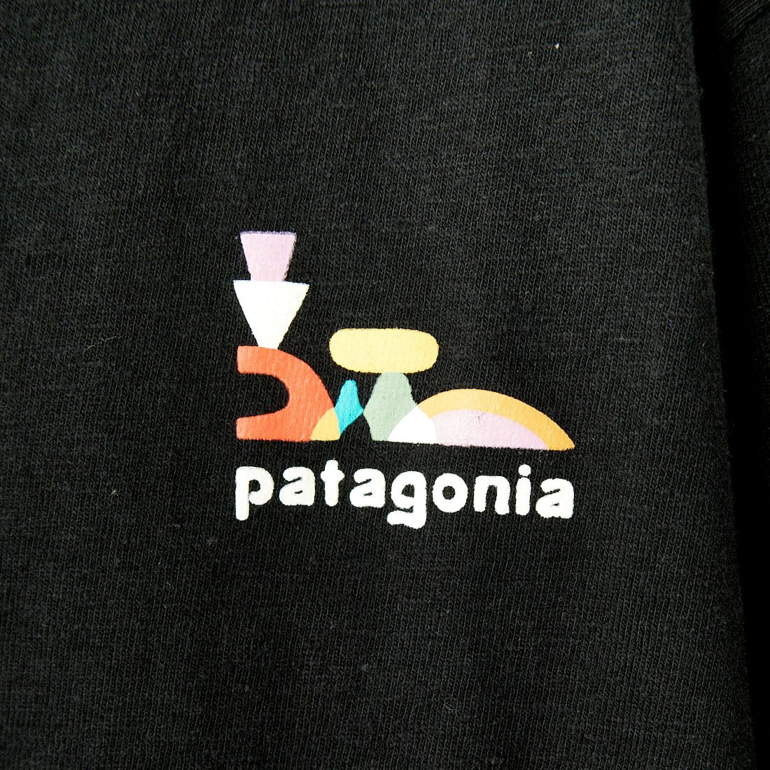 patagonia [パタゴニア] ウィメンズ ルーズ イット イージーカット レスポンシビリティー [37747] INBK