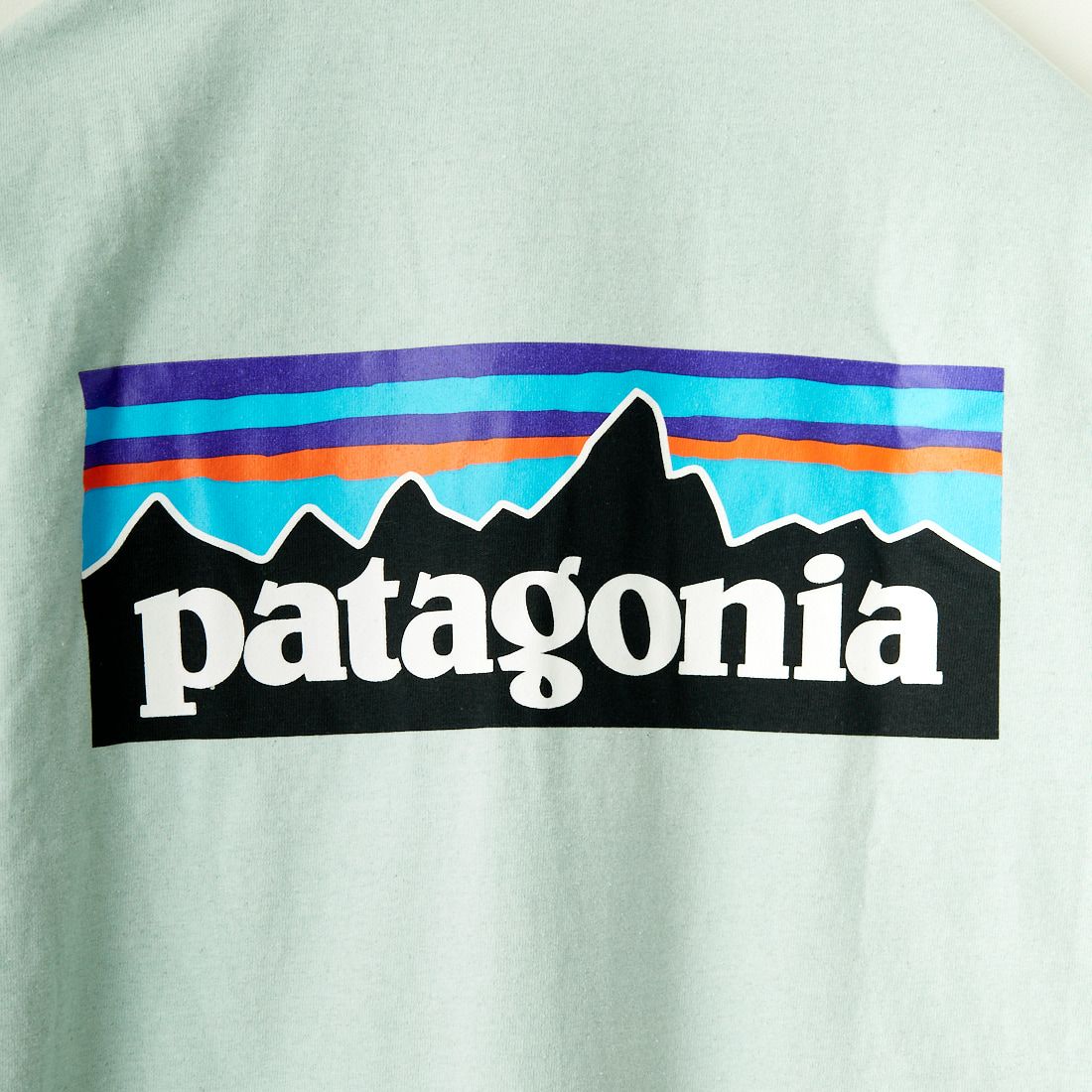 patagonia [パタゴニア] メンズ P-6ロゴ レスポンシビリティー [38504] WPYG