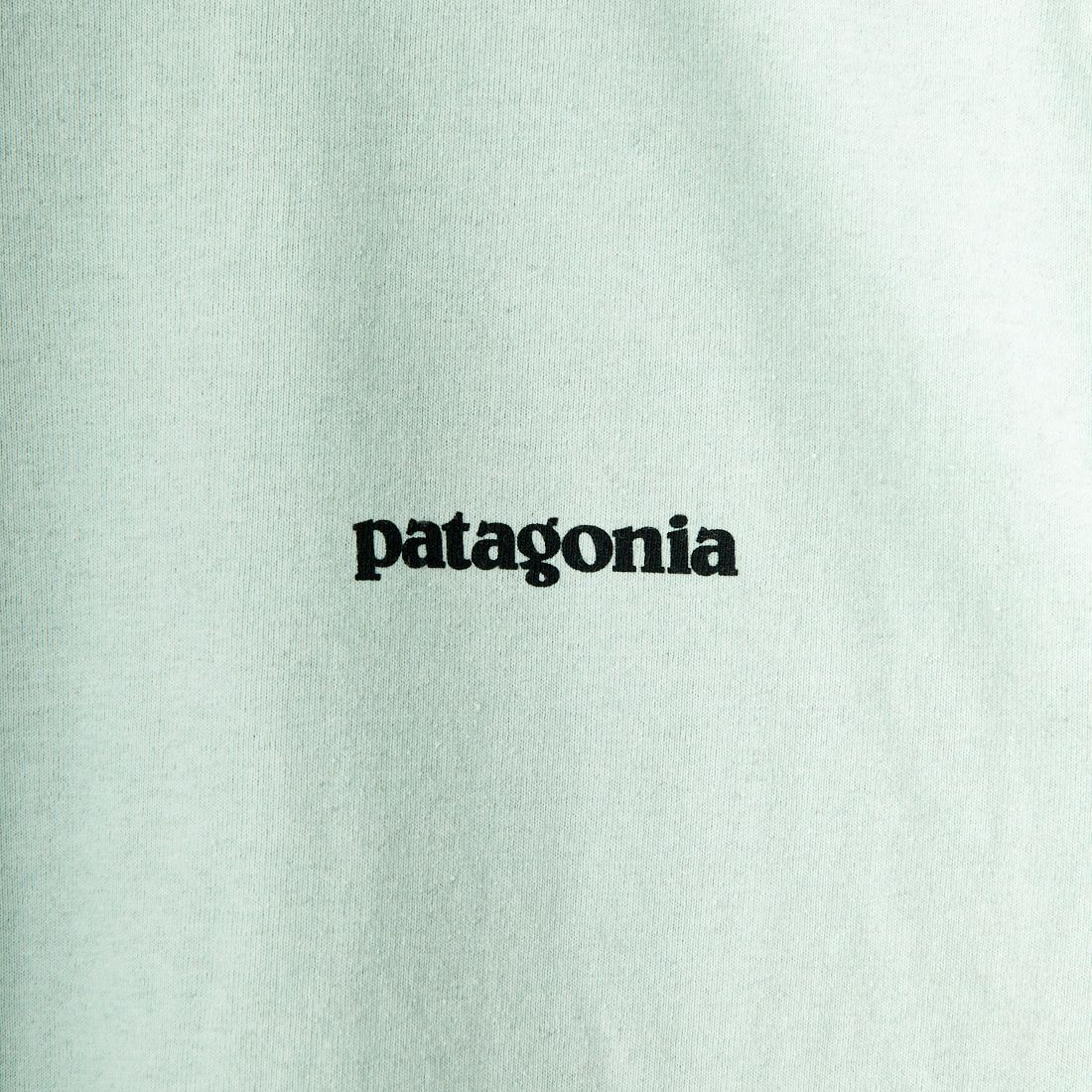 patagonia [パタゴニア] メンズ P-6ロゴ レスポンシビリティー [38504] WPYG
