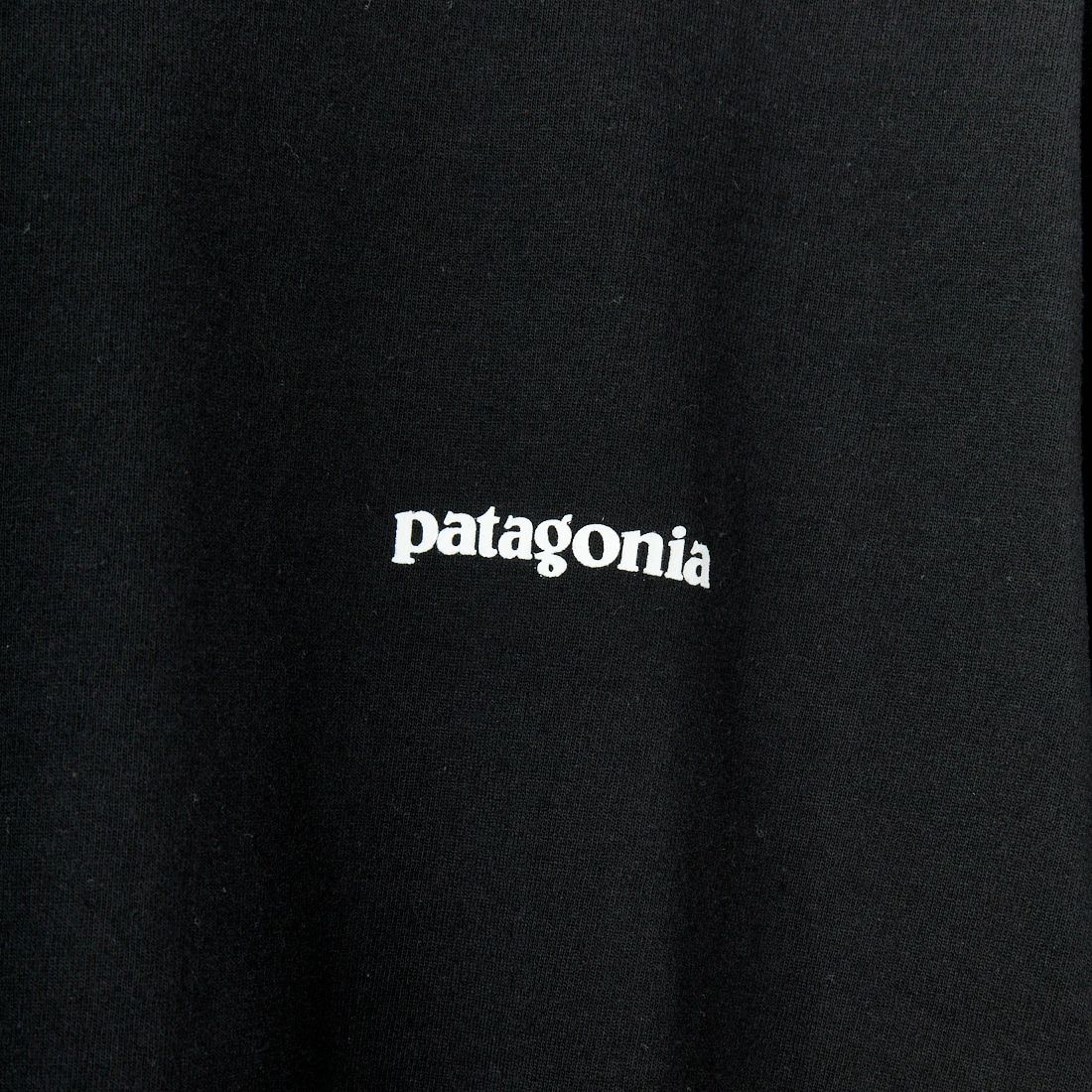 patagonia [パタゴニア] メンズ P-6ロゴ レスポンシビリティーTシャツ [38504] BLK