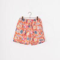 patagonia [パタゴニア] メンズ バギーズ ショーツ 5インチ