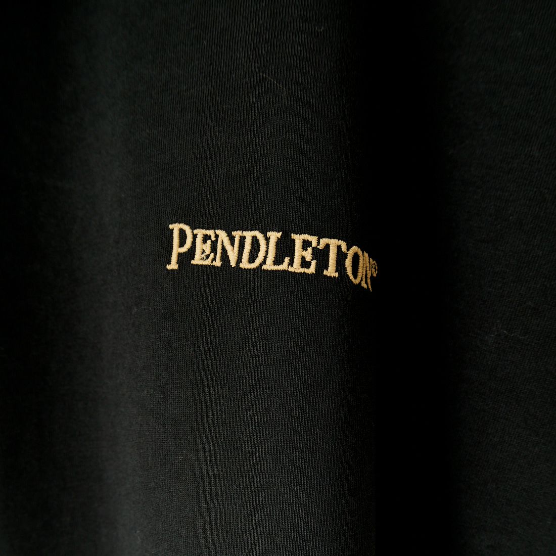 PENDLETON [ペンドルトン] バック刺繍Tシャツ [4275-6108] 49 BLACK