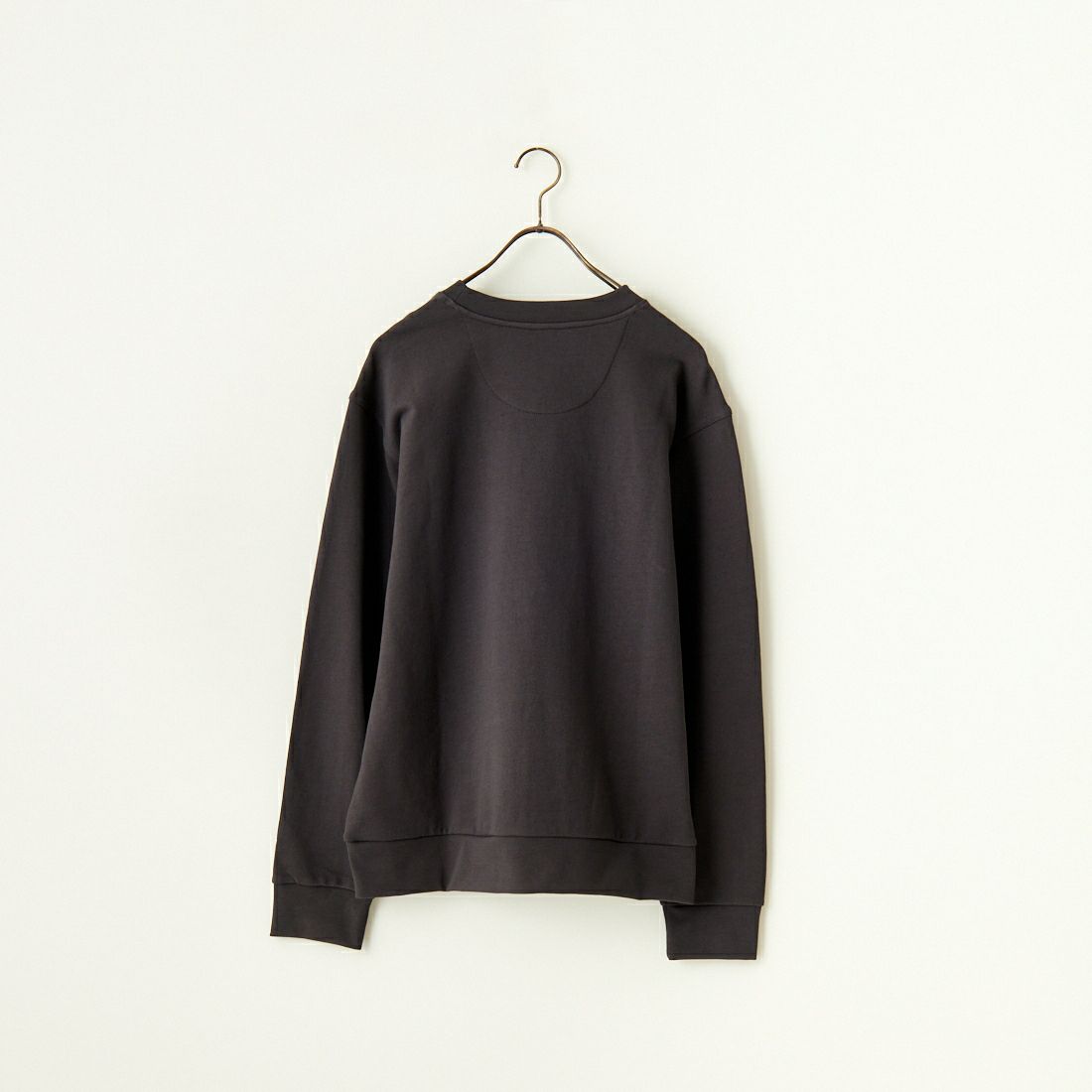 patagonia [パタゴニア] デイリー クルーネックスウェットシャツ [22765] INBK