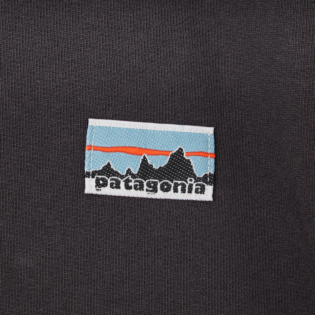 patagonia [パタゴニア] デイリー クルーネックスウェットシャツ [22765] SBDY &&モデル身長：179cm 着用サイズ：S&&