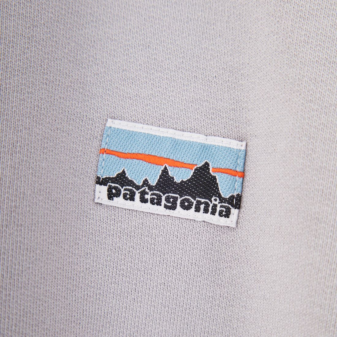 patagonia [パタゴニア] デイリー クルーネックスウェットシャツ [22765] SGRY