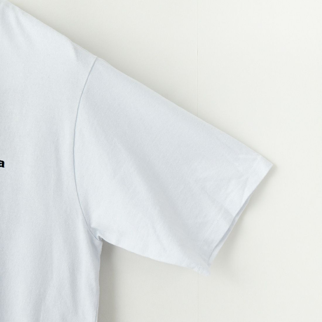 patagonia [パタゴニア] メンズ P-6ロゴ レスポンシビリティーTシャツ [38504] WHI