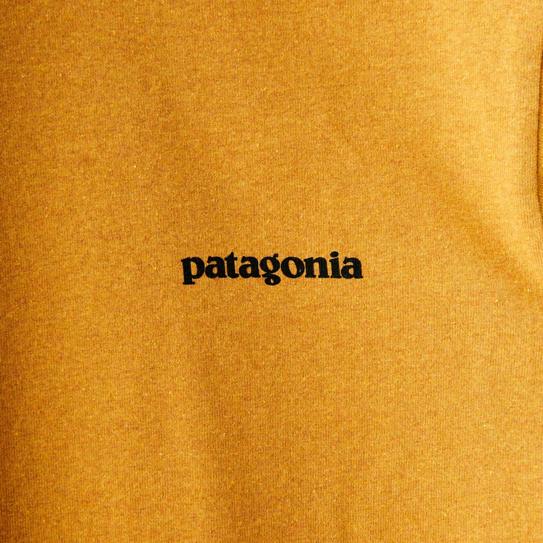 patagonia [パタゴニア] メンズ P-6ロゴ レスポンシビリティー [38504] POLG
