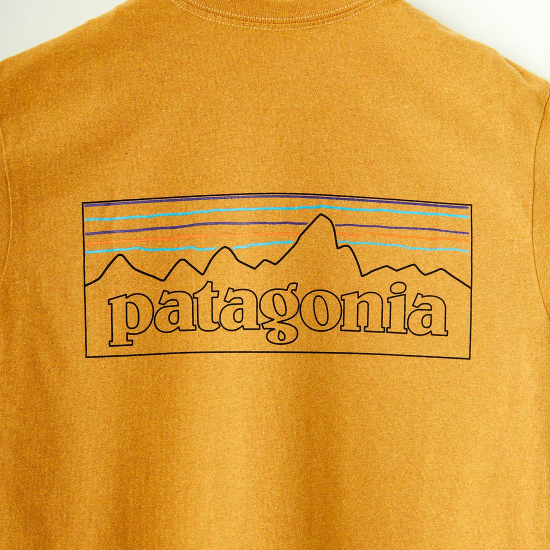 patagonia [パタゴニア] メンズ P-6ロゴ レスポンシビリティー [38504] POLG
